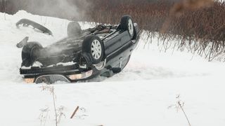 30. Черный дрозд (2011)