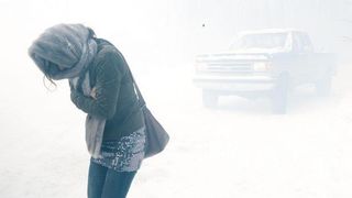 38. Черный дрозд (2011)