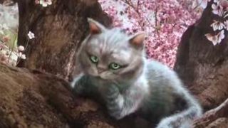 101. Алиса в Зазеркалье (2016)