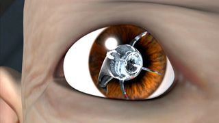 43. }{отт@бь)ч (2006)