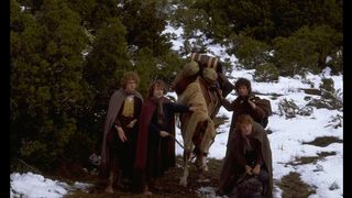 121. Властелин колец: Братство кольца (2001)
