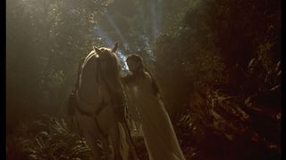 126. Властелин колец: Братство кольца (2001)