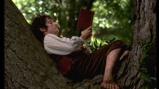 38. Властелин колец: Братство кольца (2001)