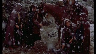 46. Властелин колец: Братство кольца (2001)