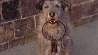 49. Пираты Карибского моря: Проклятие Черной жемчужины (2003)