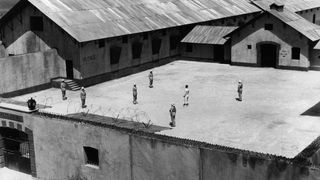 13. Мотылёк (1973)