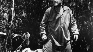 19. Мотылёк (1973)