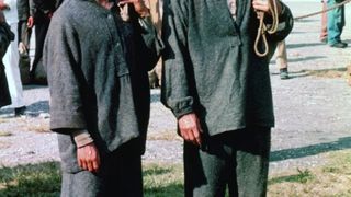 28. Мотылёк (1973)