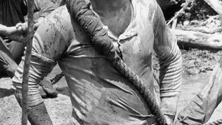 33. Мотылёк (1973)