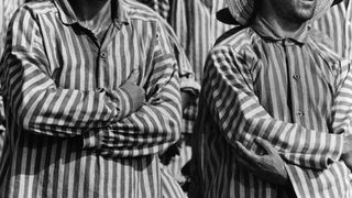 36. Мотылёк (1973)