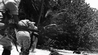 8. Мотылёк (1973)