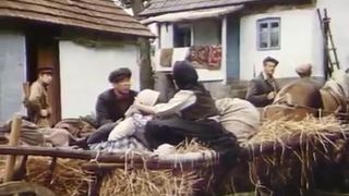 3. Казнённые рассветы (1995)
