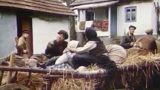 4. Казнённые рассветы (1995)