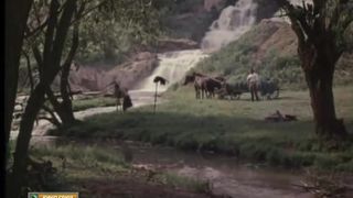 8. Багряные берега (1979)