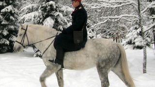 11. Черные волки (2011)