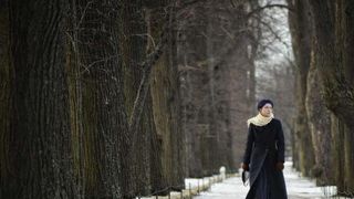 26. Пепел (2013)