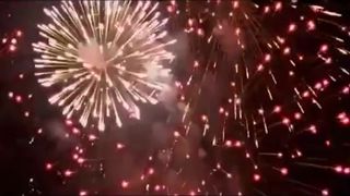 14. Рэкетир (2007)