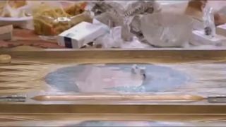 9. Рэкетир (2007)