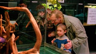 17. Жмурки (2005)