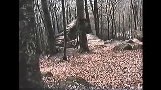 3. Вишнёвые ночи  (1992)