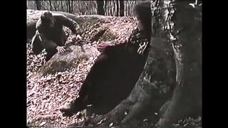 7. Вишнёвые ночи  (1992)