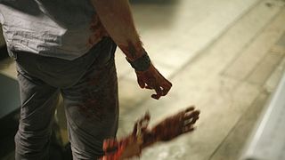 25. Воплощение страха (2008 — 2009)