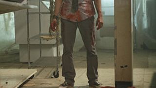 54. Воплощение страха (2008 — 2009)