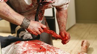 55. Воплощение страха (2008 — 2009)