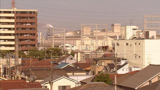 14. Драгонзакура (2005)