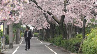 20. Драгонзакура (2005)