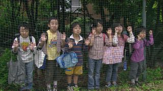 21. Драгонзакура (2005)