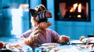 11. Проект: Альф (1996)