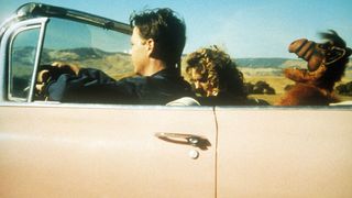 16. Проект: Альф (1996)