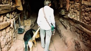 16. У холмов есть глаза (2006)