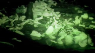 116. Спуск (2005)