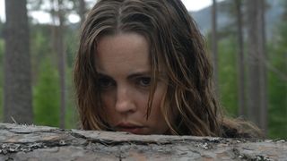 17. Похищенная (2011)