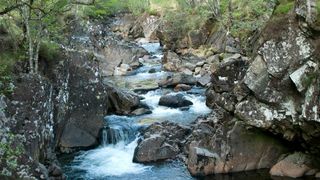 34. Похищенная (2011)