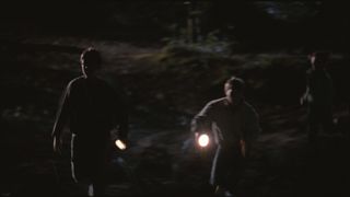 43. Райское озеро (2008)