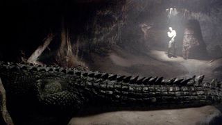 13. Крокодил (2007)