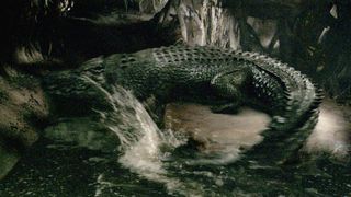 14. Крокодил (2007)