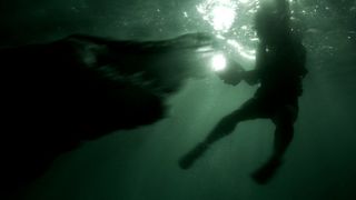 9. Крокодил (2007)