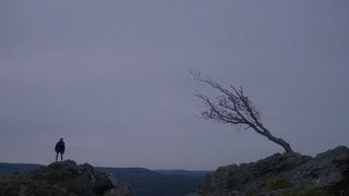 21. Нимфоманка: Часть 2 (2013)