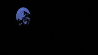 5. Дьявол во тьме (2017)