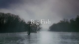 103. Крупная рыба (2003)