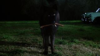 104. Крупная рыба (2003)