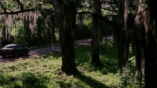 35. Крупная рыба (2003)