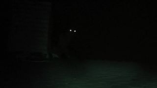 14. Проект «Монстр» (2017)