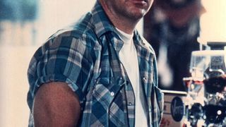 17. Совершенный мир (1993)