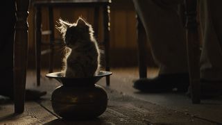 24. Девица (2017)