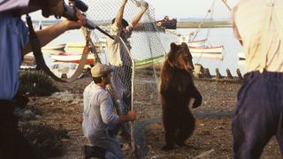 20. Медвежий поцелуй (2002)